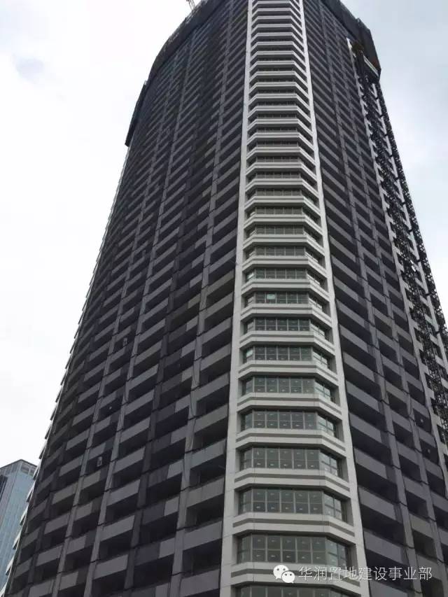 1481078632550578.jpg 7.jpg