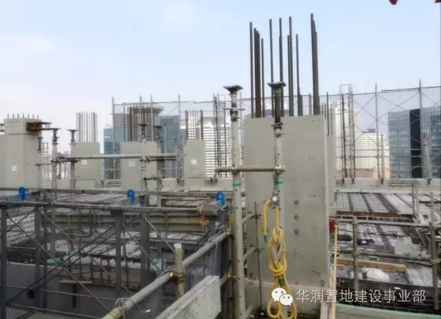 1481078654339218.jpg 8.jpg