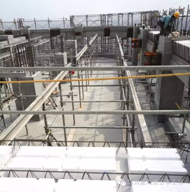 1481078663930233.jpg 9.jpg