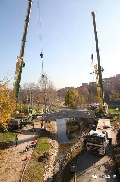 1482132583644529.jpg 1.jpg