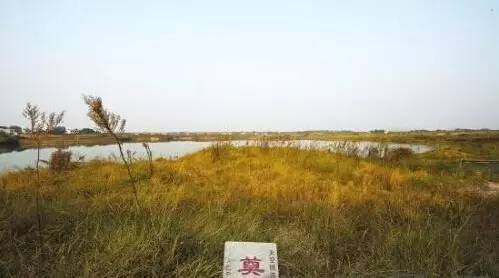 1477639536213303.jpg image018.jpg